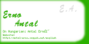 erno antal business card